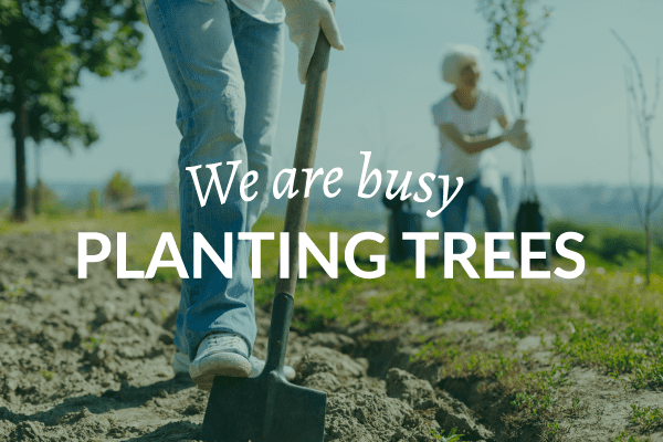 We're busy Planting Trees!